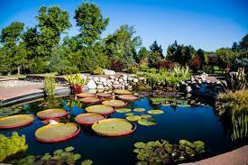 The denver botanic gardens' 24 acres feature a whopping 50 gardens for visitors to explore. Public Gardens In Colorado That Are Lesser Known And Worth The Visit