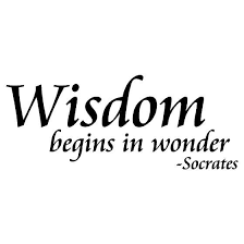 Socrates Quote Wisdom Begins In Wonder Philosophy Socrates Quotes Socrates Words Of Wisdom