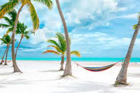 What documents do you need to travel to punta cana? Do You Need A Passport To Go To Punta Cana Passport Requirements Dr