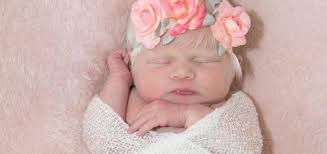 editor, Автор в Arm Cool