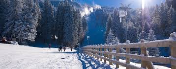 Рядом с poiana brasov, braşov (românia). PreÅ£ul Transportului Pe Cablu Ski In Poiana Brasov 2017 2018