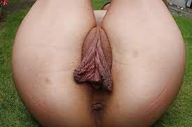 Muschi Held
