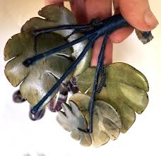 Mid 20th Century Asian Amethyst Carved Grape Bunch Cluster Jade Leaves |  Chairish