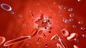 Sauerstoffsattigung Funktion Aufgabe Krankheiten Medlexi De