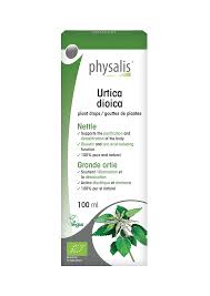 Image result for Urtica