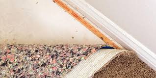 Maybe you would like to learn more about one of these? Carpet Fitting Prices How Much To Carpet A Room