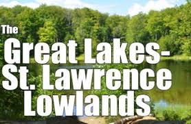 Further, some 10,000 years ago, the lowlands rose rapidly somewhere around 20 meters per century. Titles Our Canada The Great Lakes St Lawrence Lowlands Produced By Mcintyre Media Inc Mci097 Mcintyre Media Inc