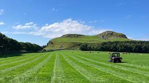 Viking ruins found buried beneath farmland in Norway | Miami Herald