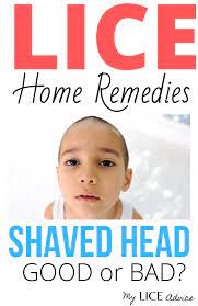 Pin On How To Get Rid Of Lice Fast Super Lice