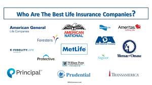 Our furry friends aren't just, well, friends. Best Life Insurance Companies My Unbiased Insurance Company Review