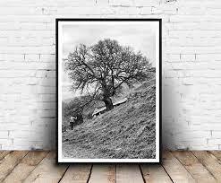 Landscape Photography Downloadset Of 2 Black And White Etsy Photography Prints Art Modern Wall Art Prints Art Prints