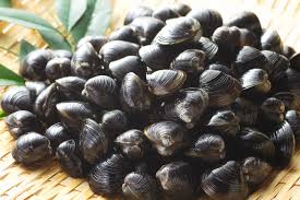 しじみ 砂 抜き 開か ない