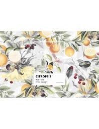 Image result for Citropsis