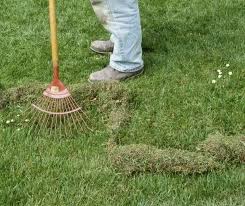 Especially if your thatch is more than 2 inches, hiring a professional. Dethatching The Basics The Grounds Crew Minneapolis