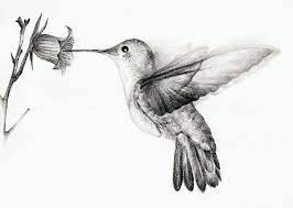 Check spelling or type a new query. Hummingbird By Chatroux Hummingbird Tattoo Hummingbird Drawing Hummingbird Sketch