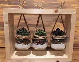 Succulent Frame Diy Kavanoz Projeleri Saksi Ev Icinde Bitki Bakimi