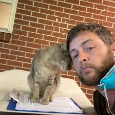 Who has the lowest price for basic internet in Yadkin County?