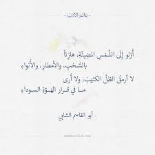 شعر أبو القاسم الشابي سأعيش رغم الداء والأ عداء عالم الأدب Pretty Words Words Quotes Inspirational Quotes