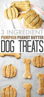 Three Ingredient Pumpkin Peanut Butter Dog Treats The Creek Line House Dog Biscuit Recipes Healthy Dog Treats Homemade Dog Treats Homemade Recipes