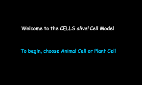 Maybe you would like to learn more about one of these? Interactive Cell Model