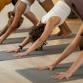 Vinyasa Series event image