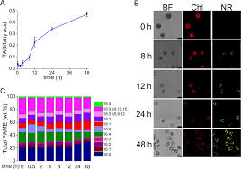 Download older versions of uc browser for android. Three Acyltransferases And Nitrogen Responsive Regulator Are Implicated In Nitrogen Starvation Induced Triacylglycerol Accumulation In Chlamydomonas Journal Of Biological Chemistry
