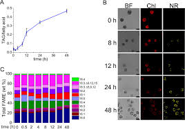 Descargar 5 juegos gratis para nokia 5130. Three Acyltransferases And Nitrogen Responsive Regulator Are Implicated In Nitrogen Starvation Induced Triacylglycerol Accumulation In Chlamydomonas Journal Of Biological Chemistry