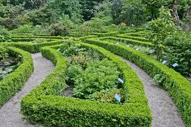 Botanic Garden Amsterdam The Netherlands Botanical Gardens Botanical Simple Green