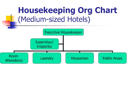 Organizational Chart Of Housekeeping Department In A Small