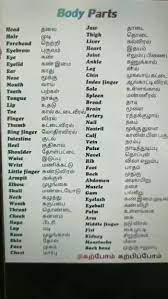 Learn the names of human body parts in tamil. Trendings Today Body Parts Tamil And English Body Parts In Tamil For Kids Ermitavinyetsitges Page 106 Preschool Manners Printable Pictures Of Body Parts Vocabulary With Pronunciations