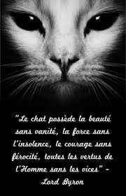 Citation D Anniversaire Le Chat Elegant Citation Le Chat Possede La Beaute Sans Vanite La Citation Animaux Paroles De Chat Citation Chat
