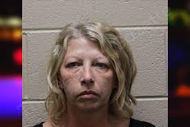 Shannon Driver — Haralson County Jail Bookings