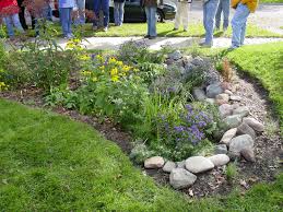 A Complete Guide To Building And Maintaining A Rain Garden Trca