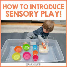 I recently wrote a book on sensory bins exciting sensory bins for curious kids. How To Introduce Sensory Play Days With Grey