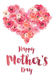 What is the official flower of mother's day? Mother S Day Trivia