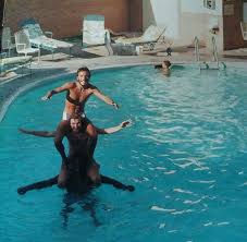 Swimming Pool Bruce Springsteen The Boss Bruce Springsteen E Street Band