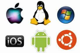 We did not find results for: Pengertian Software Beserta Fungsi Dan Jenisnya Lengkap