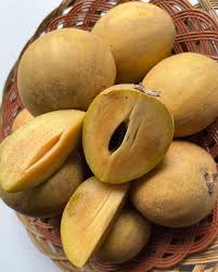 Image result for Manilkara mochisia