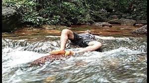 They are open from 12pm till 3pm and then from 7pm till 12pm every night, with live music every saturday, as well as ample parking outside the restaurant. Udear Springs Waterfall Verna Salcette Goa Youtube