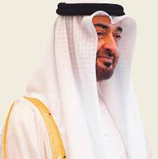 UAE President, VPs congratulate King of Netherlands