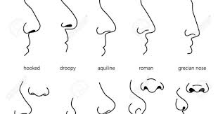 His father, an italian immigrant, had shortened the family name upon arrival in america. What Is The Shape Of Your Nose And Do You Like It Girlsaskguys