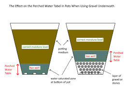 Pin On Gardening Green Thumb Development