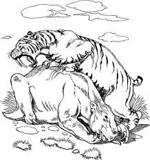 Download this sabertooth tiger coloring book vector illustration now. Sabre Tooth Tiger Coloring Page Coloring Home