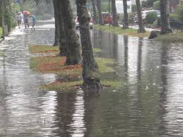 Het knmi waarschuwt zondag voor hevig onweer in het hele land. Wateroverlast In Noordoost Fryslan En Blikseminslag In Kollum Rtv Nof
