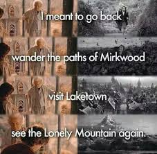 The Feels When You Watch Lotr Again After Botfa The Hobbit Movies The Hobbit Lord Of The Rings