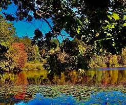 Maybe you would like to learn more about one of these? Massachusetts Hiking Trails Trail Maps Traillink