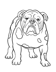 Loving, caring, social creatures with courage in. Free Nature Coloring Pages Dog Coloring Page Bulldog Drawing Bulldog Painting