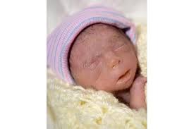 Lainey Schmitt Obituary (2017