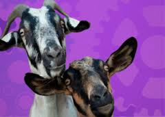 We are looking to move in from february. Mobile Petting Zoo Rentals Nc Party Animals