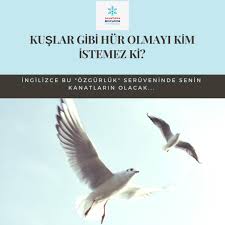 Bu Evrensel Dili Eglenerek Kesfetmek Icin Daha Fazla Beklemeden Hemen Harekete Gecmelisiniz Beylikduzu Avcilar Buyukcekmece Ba Dil Bahcesehir Ingilizce
